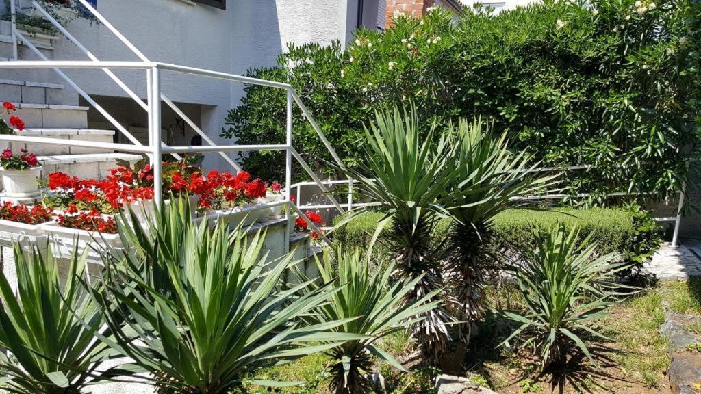נובי ווינודולסקי Apartments Mirjana מראה חיצוני תמונה