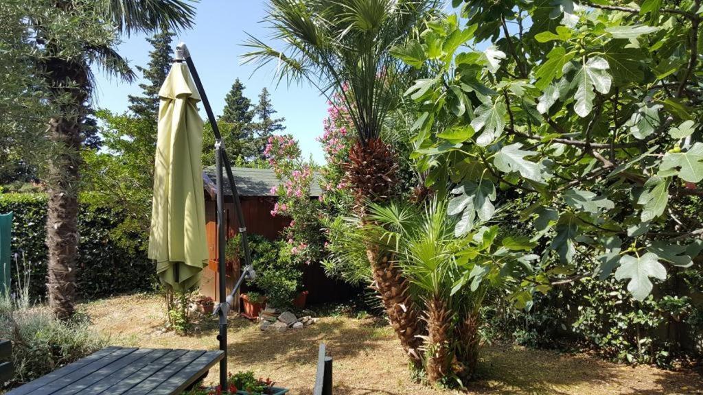 נובי ווינודולסקי Apartments Mirjana מראה חיצוני תמונה